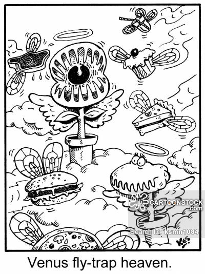 400x534 Venus Fly Traps Cartoons And Comics