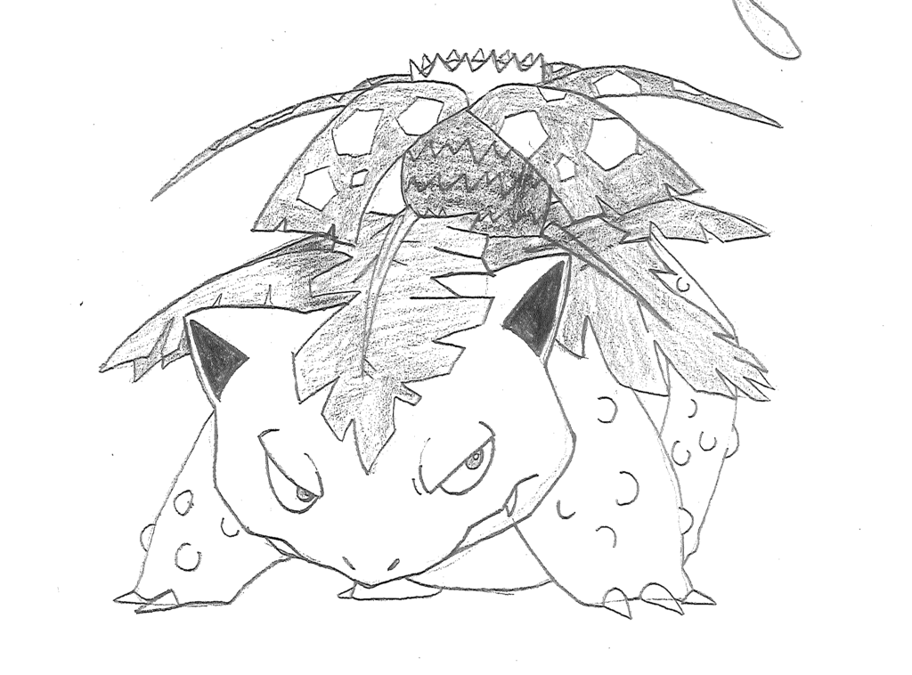1024x758 Venusaur Sketch By Sketchdaily
