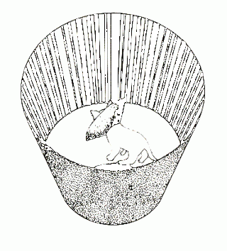 320x354 The Cat Nobel Prize Part Ii Psychology Today