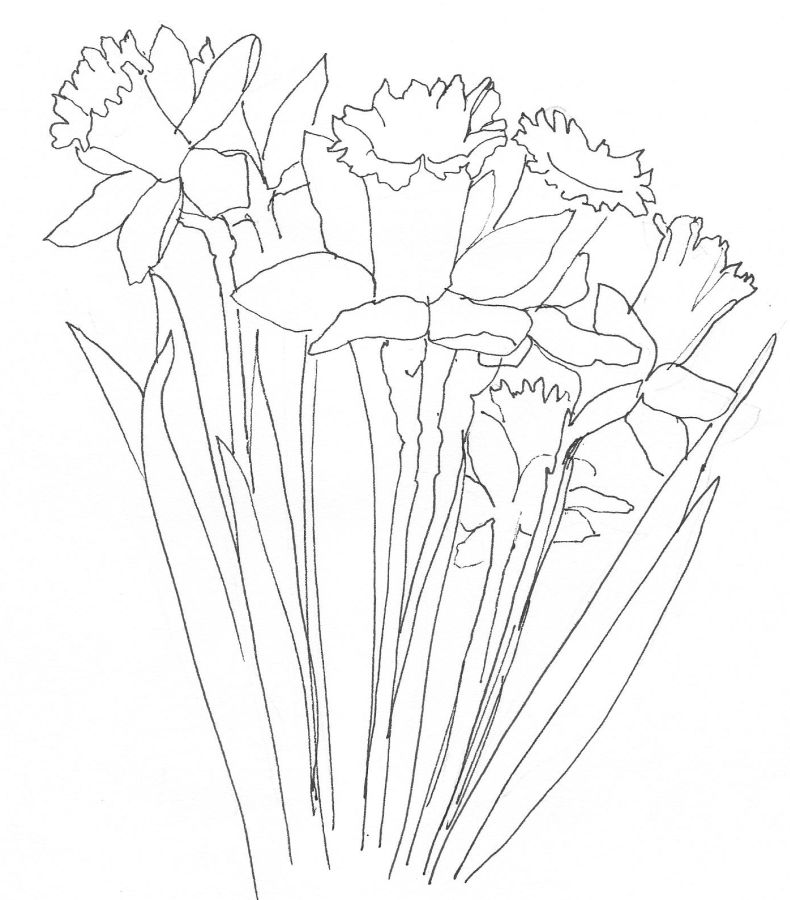 790x900 Love To Draw Exploring The How And Why Of Drawing