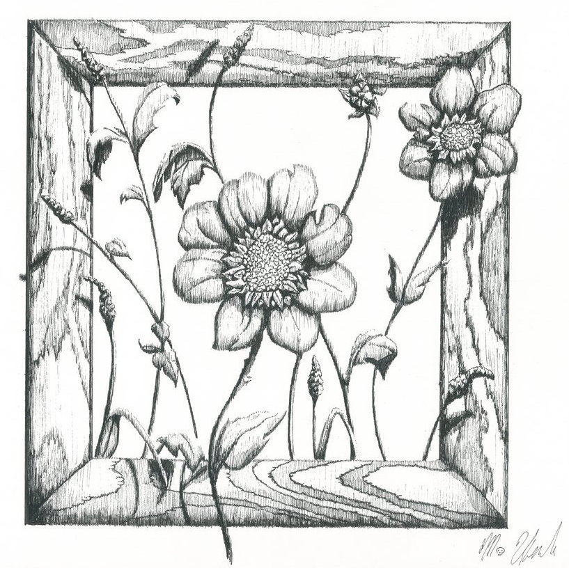 817x816 Horizontal Line Drawing By Drewivy