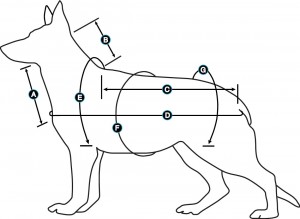 300x219 International Body Armor
