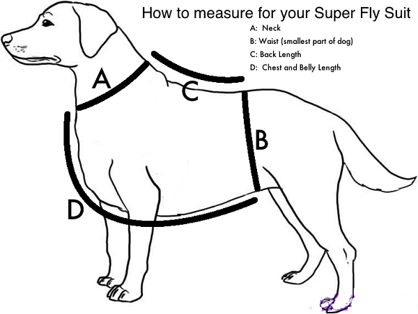 600x451 Competition Dog Vest