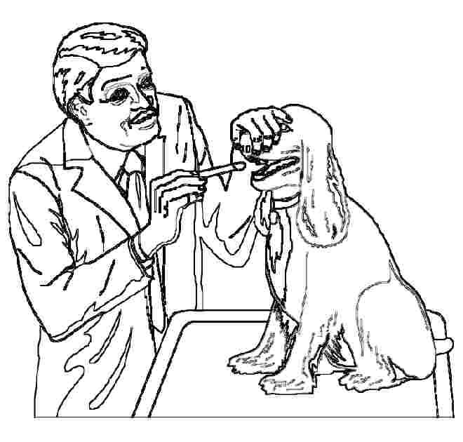 660x630 Vet Coloring Pages Printable