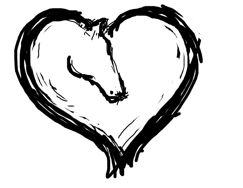 820x634 About Horsecare Veterinary Services, Pllc Raleigh Nc Horsecare