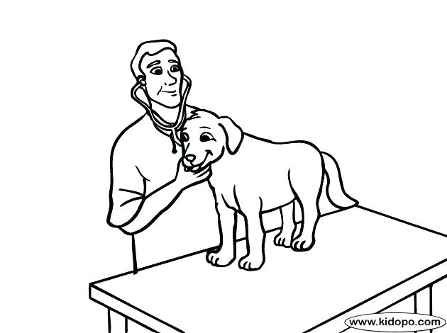 630x470 Veterinarian Coloring Pages Anatomy Coloring Pages Veterinary