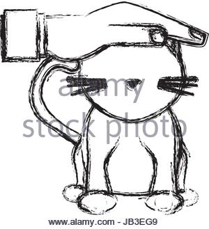 300x329 Hand Holding Cat Help Animal Pet Concept Veterinarian Care Stock