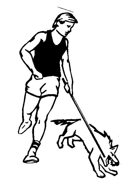 456x651 K 9 Swat Rod! Dog Bite Protection For Outdoor People.