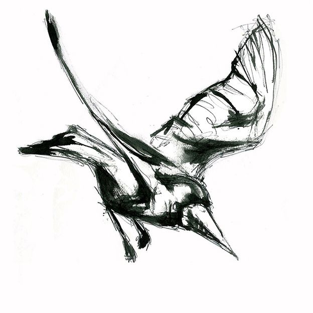 624x624 Illustration Art British Bird Lovers