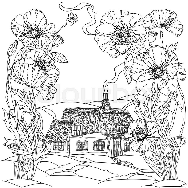 800x800 Field Poppies And Victorian House. Spring Pattern For Adult