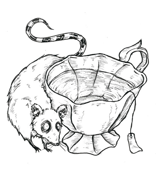 500x558 Victorian Teacup Tumblr