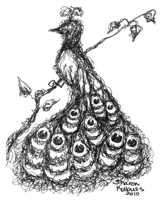 560x700 How To Draw A Peacock Real Time Video Tutorials Peacock