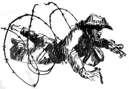 432x298 A Portrait Of The Enemy Cherries A Vietnam War Novel