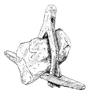 300x320 Anchor Syrvival Vikings, Norse Vikings And History