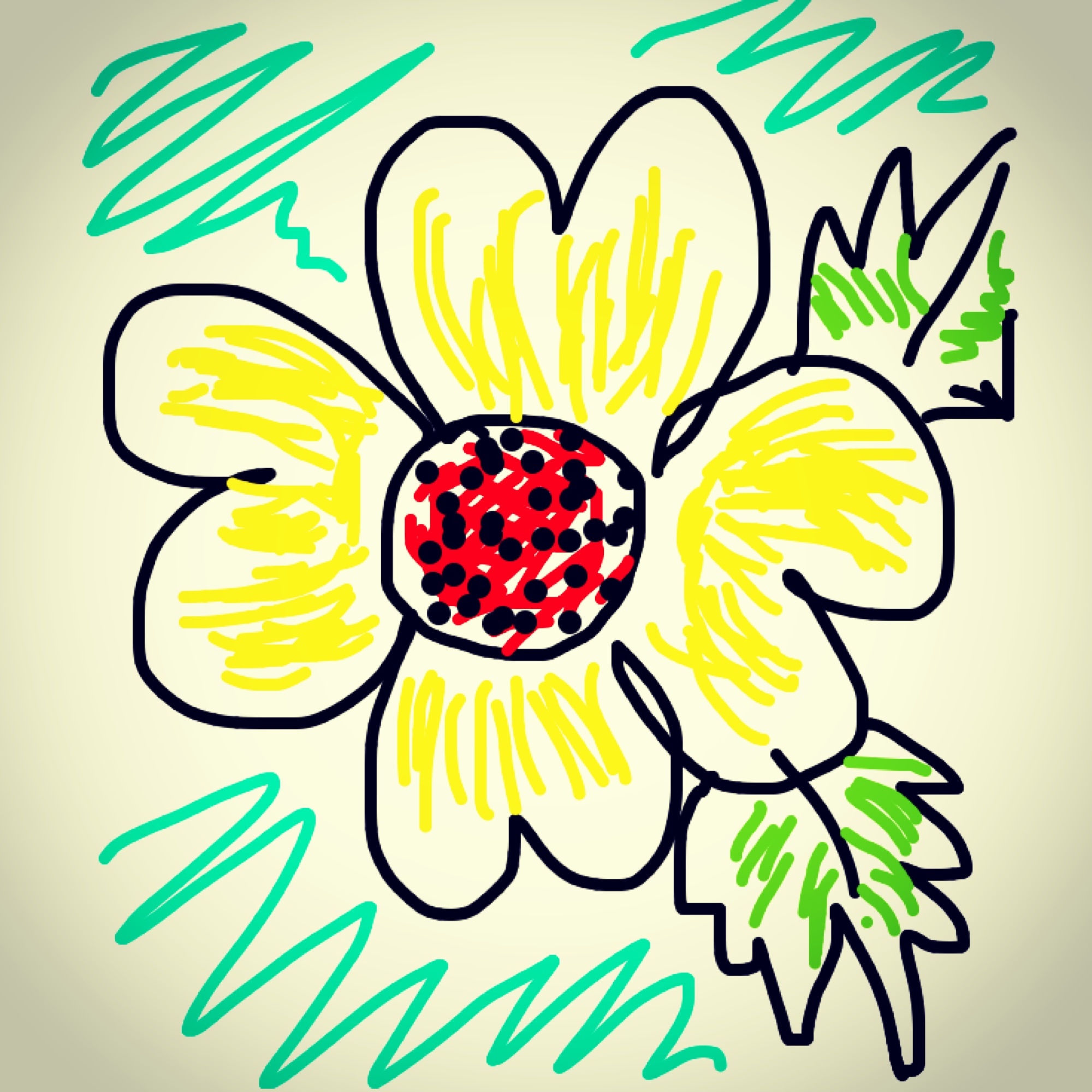 2000x2000 Drawing Unapologetic