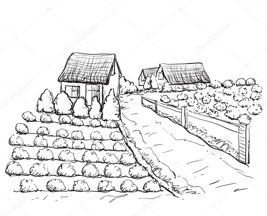1024x829 Village Houses Sketch And Nature Stock Vector Yuliia25