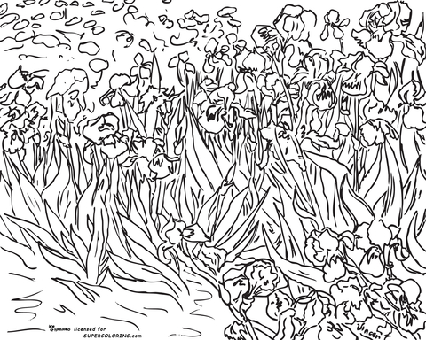 480x384 Irises By Vincent Van Gogh Coloring Page Coloring Pages