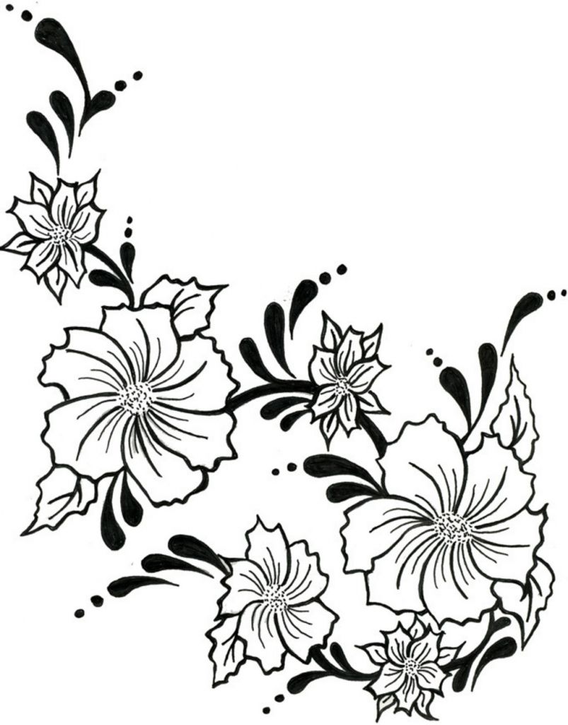 803x1024 Flower Vine Drawings Flower Vine Drawing