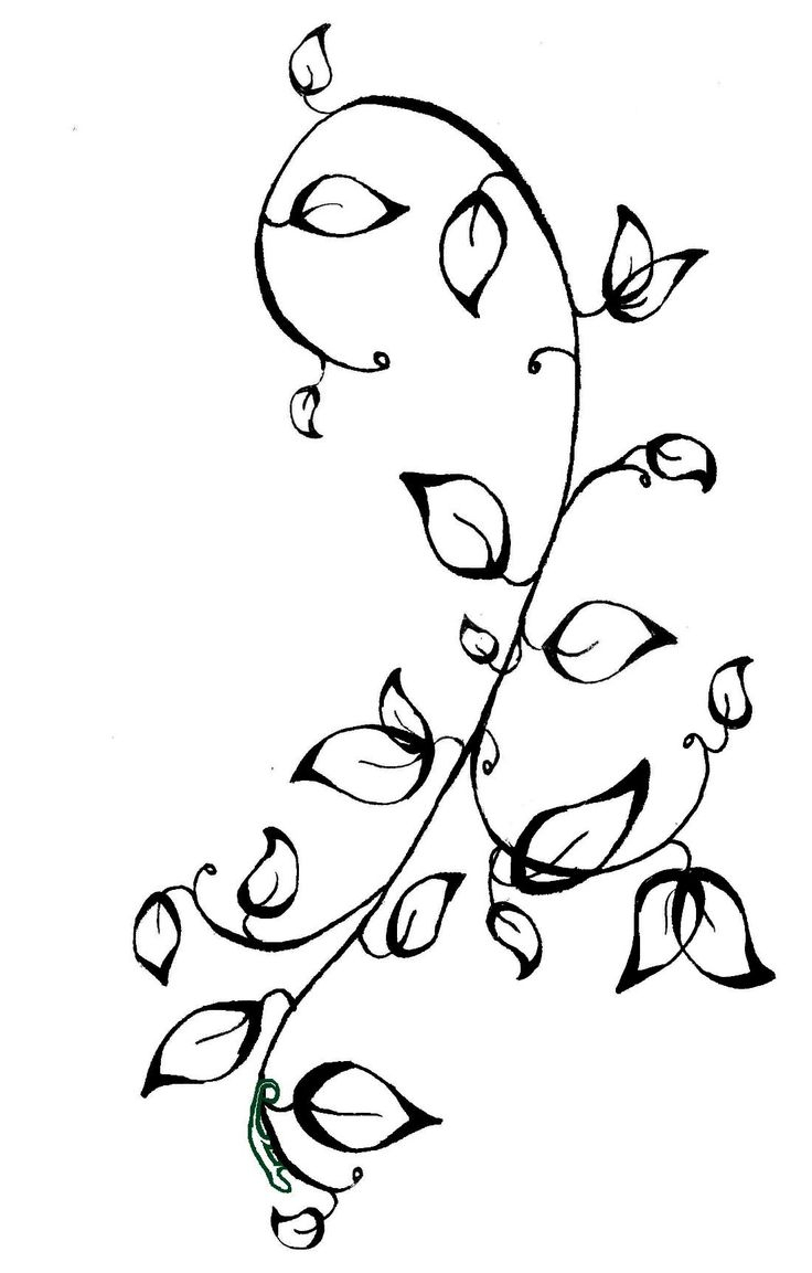 736x1153 Rose Vine Drawing Designs Best Ideas About Flower Vine Tattoos