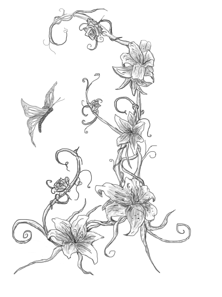 774x1032 Butterfly Vine By Webkrovler