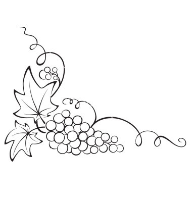 380x400 Design element  +grapevine+vector+831735+ +by+imagination13