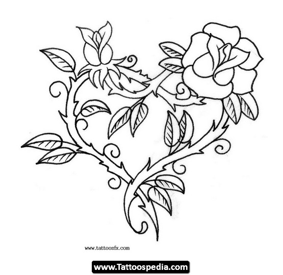 555x540 Topic Tattoo Designs Rose Vines ~ Tribal Ideas