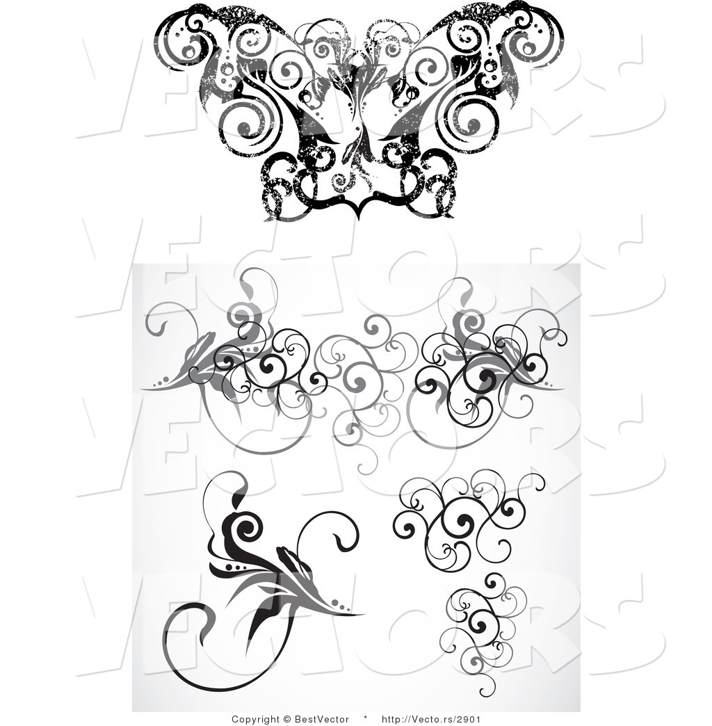 1024x1044 Vector Of Curly Vine Floral Borders