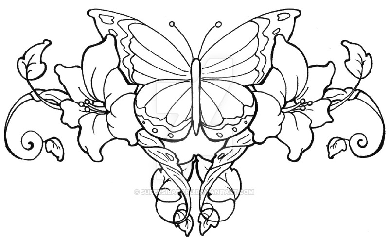 800x490 Butterfly Vines By Supersibataru