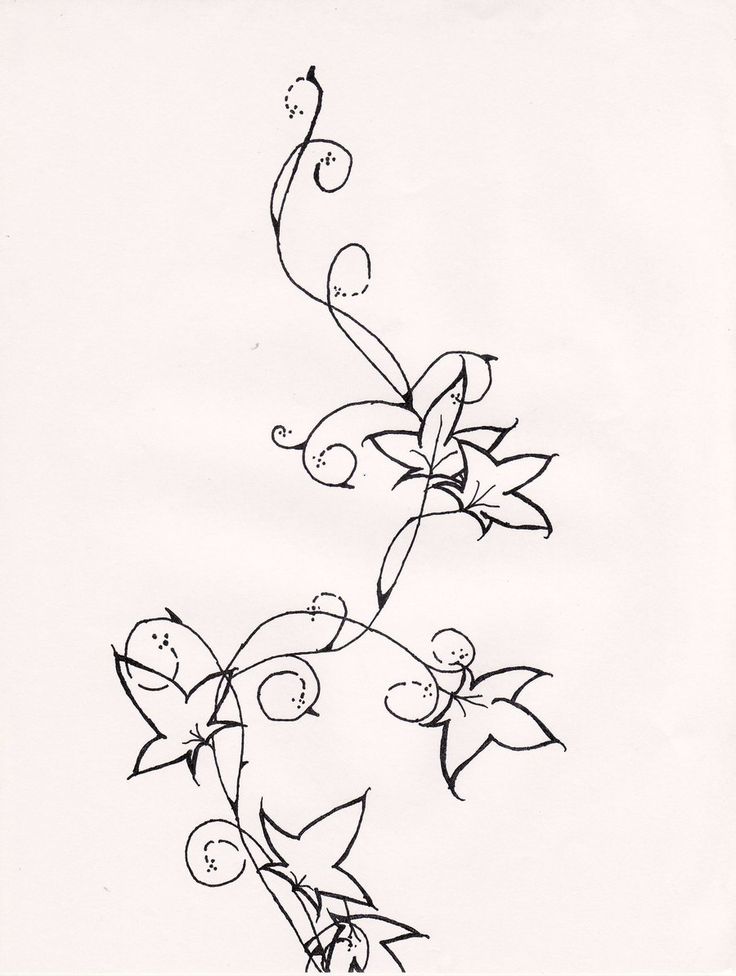 736x976 Collection Of Elegant Ivy Vine Tattoo Design