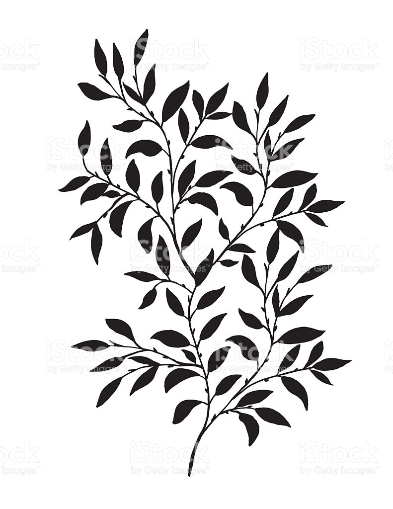 791x1024 Drawn Leaves Vine