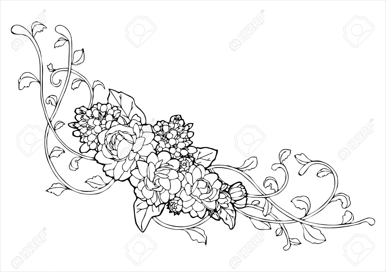1300x916 Jasmine Flower And Vine Line Drawing Royalty Free Cliparts