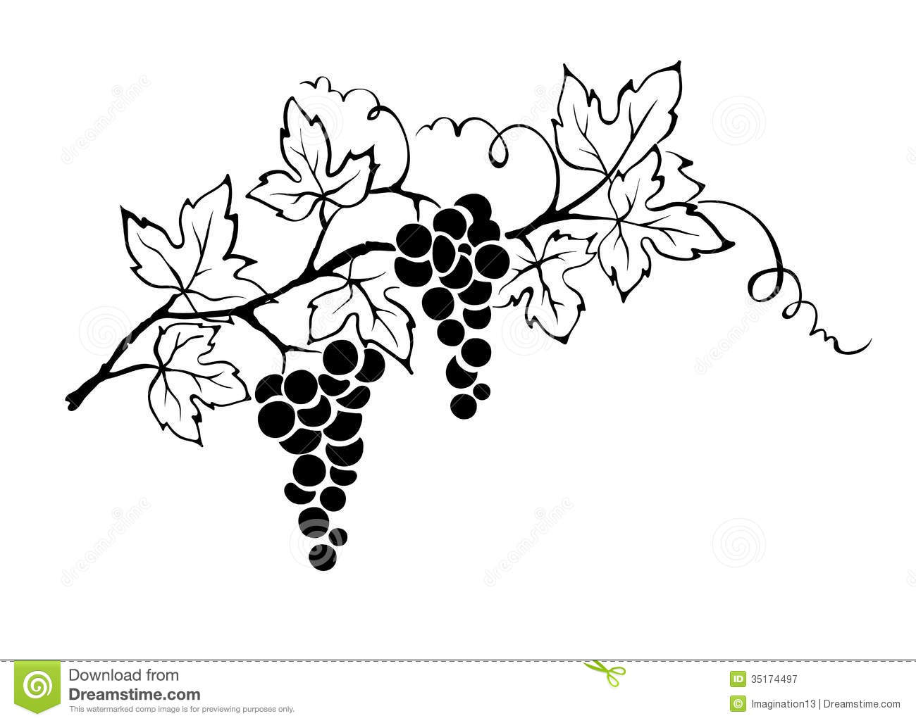 1300x1027 Clip Art Grape Vines Clipart