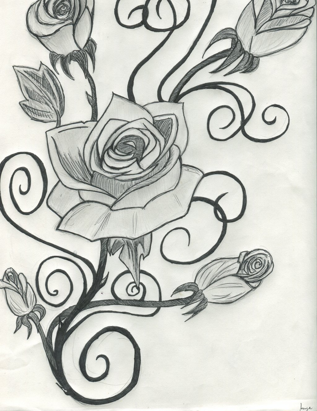 Vines And Flowers Drawing at GetDrawings | Free download