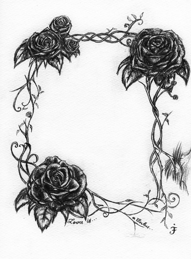 767x1042 Rose Drawings With Vines Roses With Vines Drawing Rose Vine