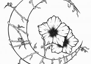 300x210 Drawings Of Vines And Flowers
