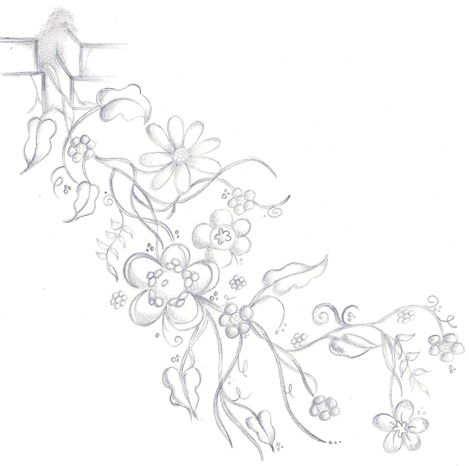 1502x1493 Drawn Ivy Flower Vine