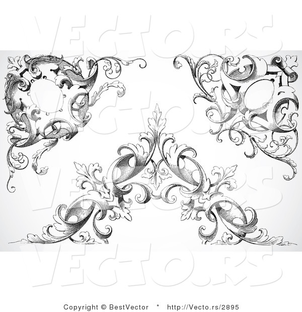 600x620 Vector Of Three Unique Black Floral Vines With Leaves