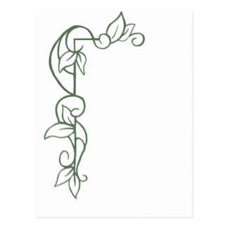324x324 Vines Border