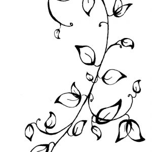 300x300 Silhouette Vine Google Search Cfcfcefcf Adult