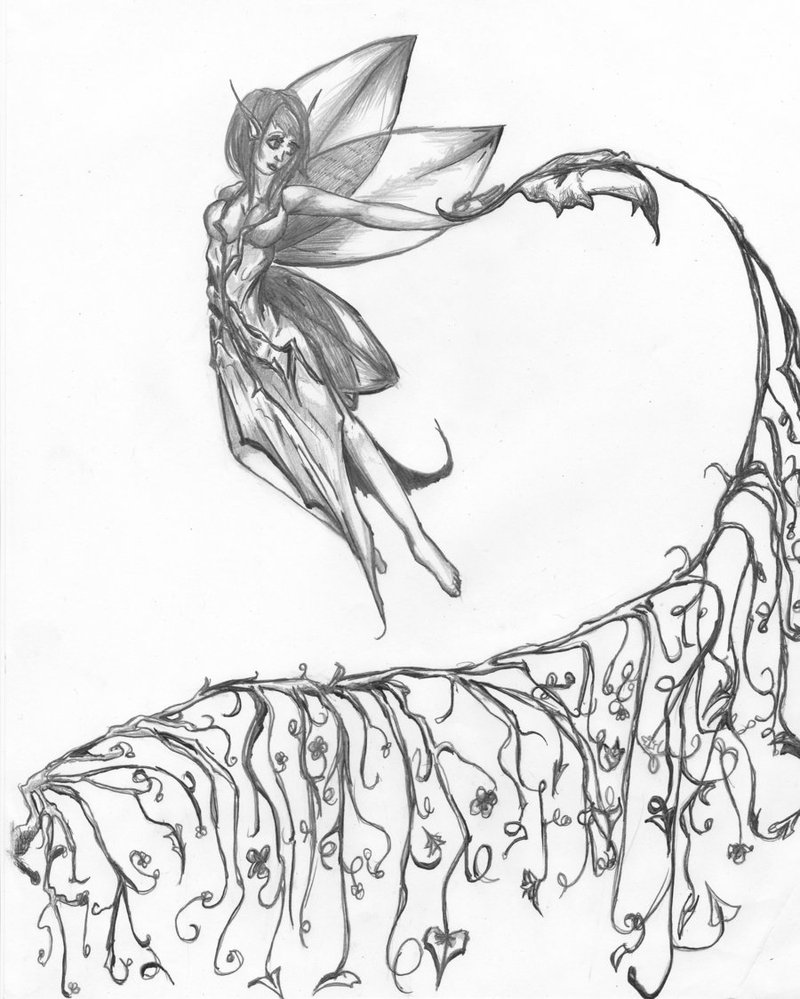 800x999 The Fairy And The Vine By Animated Organs