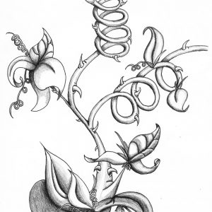 300x300 Vine Drawings Bing Images Vine Tat Ideas Image Dedaedfbaafecb Adult