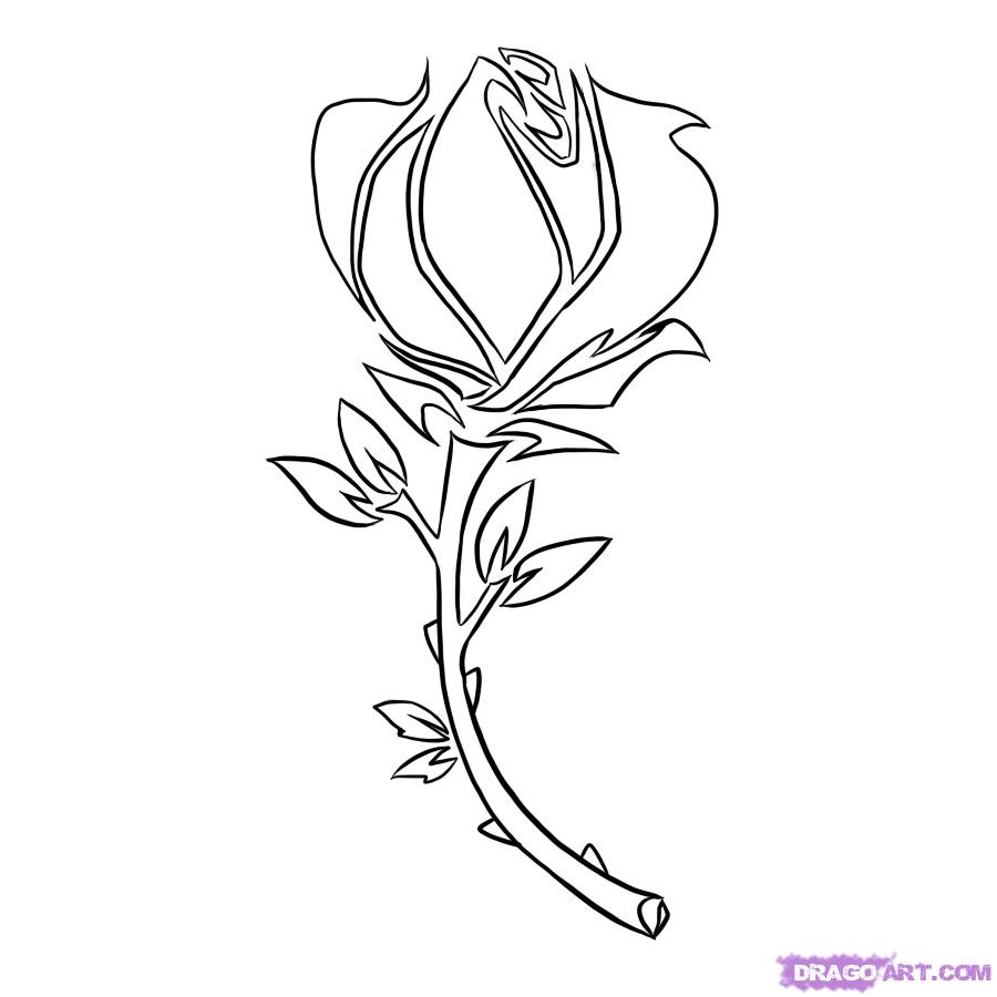 900x900 How Draw A Rose Vine Step By Step How