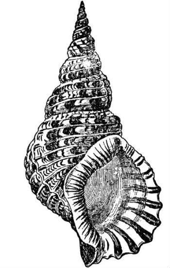 350x550 Google Image Result For Httpmarthas Vineyard Vacation