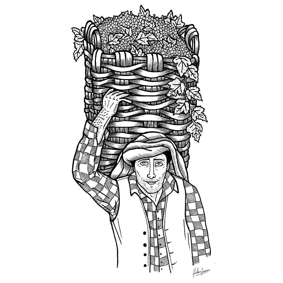 1080x1080 Second Illustration About Douro For Portgall