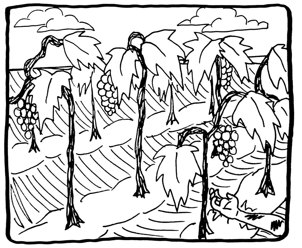 1024x841 The Parable Of The Vineyard. Mark 121 12 Glencaer