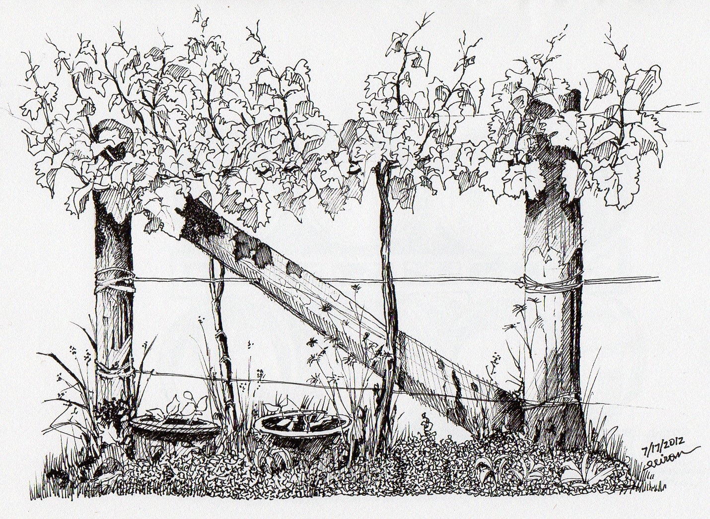 1430x1046 Big Blue July 2012