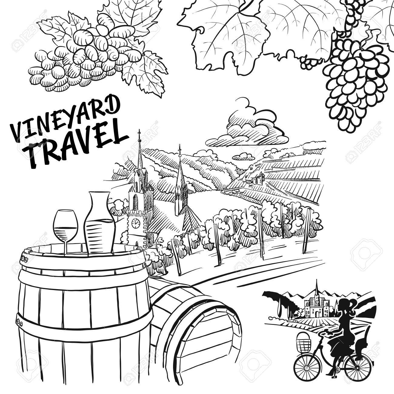 1300x1300 Various Vineyard Travel Concept Sketches, Hand Drawn Vector