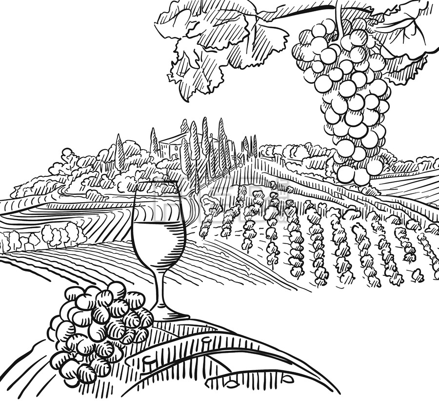 900x823 Vineyard Composition With Grapes And Glass Of Vine Hebstreits
