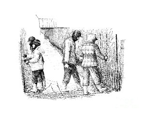 300x236 Vineyard Drawings