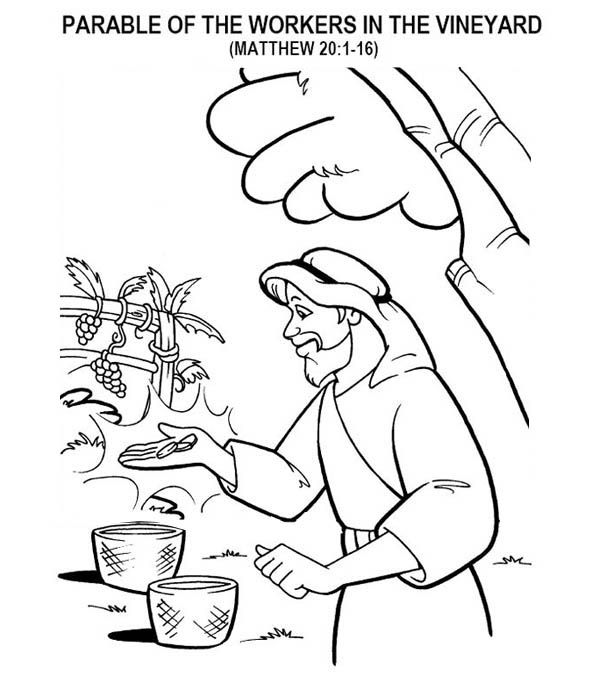 600x682 Vineyards Coloring Pages